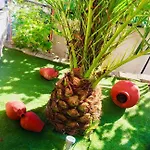 Nyaraló Heaven's House Kaliráhi